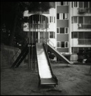 dailyPhoto10